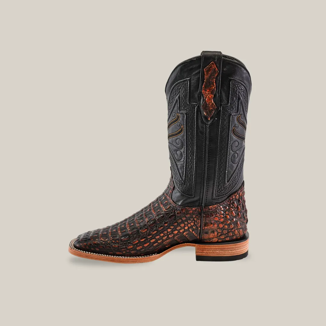 Exotic Caiman Horn Back - Roma - Square Toe